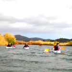 Nel fiume Flumendosa che bagna i comuni di Muravera e Villaputzu è possibile navigare con le canoe.