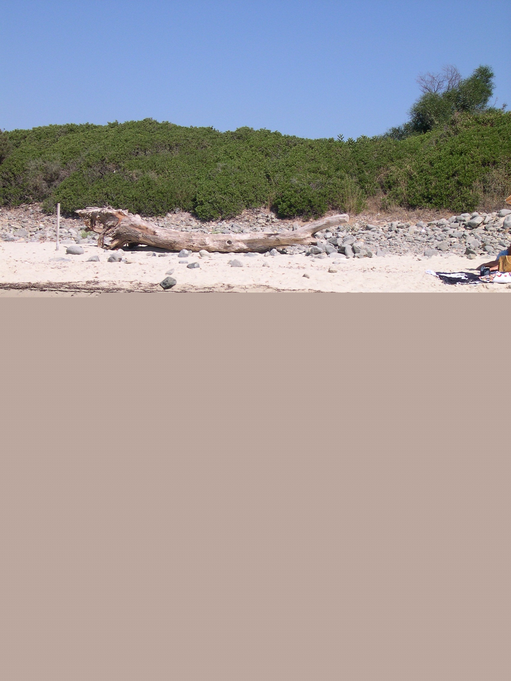 foto-fenicotteri882005-013